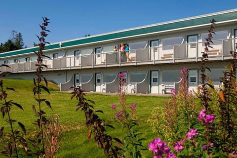 Property building, Day, Garden