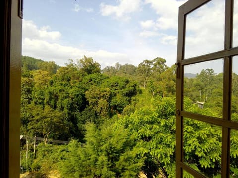 Natural landscape, Mountain view