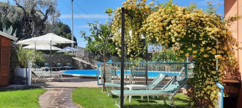 Garden, Swimming pool