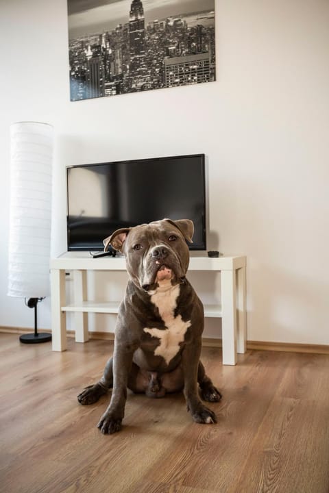 AVR Apartment HOF 8 Apartment in Bremerhaven