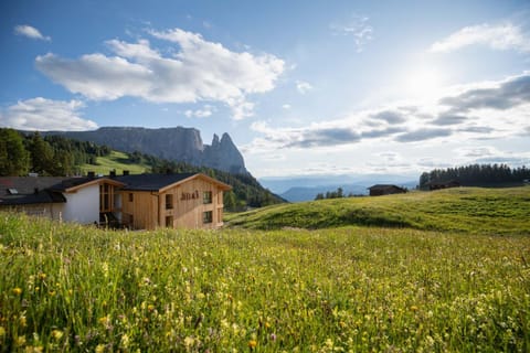 Facade/entrance, Neighbourhood, Decorative detail, Mountain view