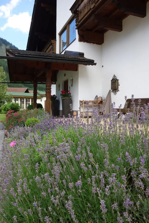 Ferienwohnungen Falger Apartment in Tyrol