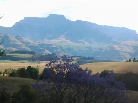 Mountain view