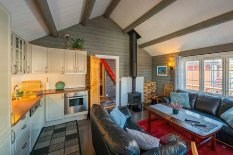 dishwasher, flat iron, pet friendly, kitchen