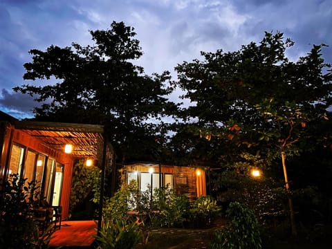 Property building, Night, Garden, Garden view