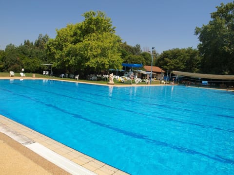 Day, Swimming pool, Swimming pool