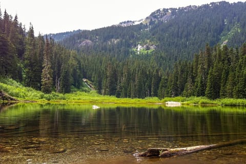 Hyak Duplex Cabin Cabin in Snoqualmie Pass