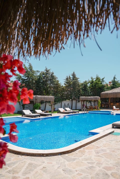 Day, Pool view, Swimming pool, sunbed