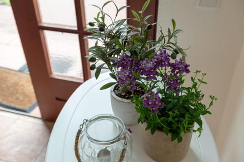 Alte Schule unter Reet- Klassenzimmer Apartment in Nordfriesland