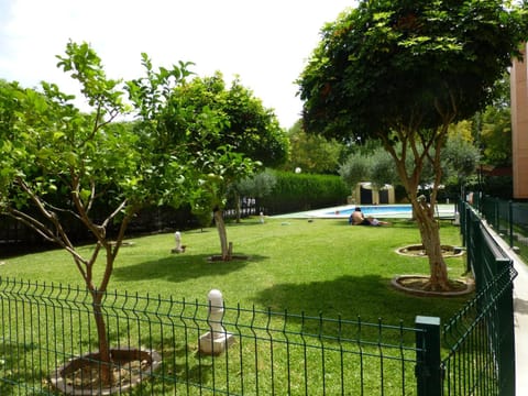 Day, Garden, Garden, Swimming pool