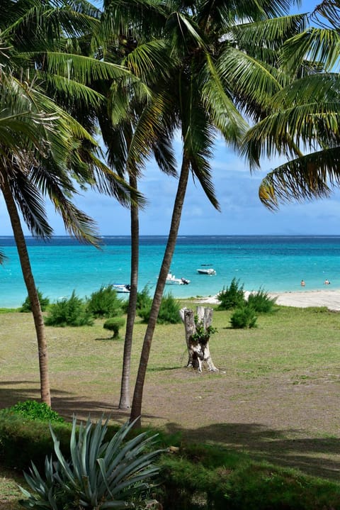 Beach, Beach, Sea view, Sea view