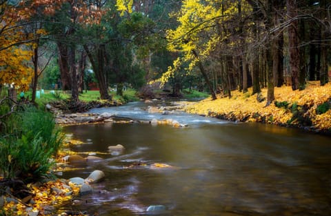 Natural landscape, On site, River view