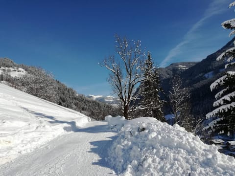 Natural landscape, Winter