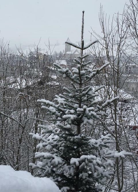 Max 's Siusi Apartament Apartment in Trentino-South Tyrol