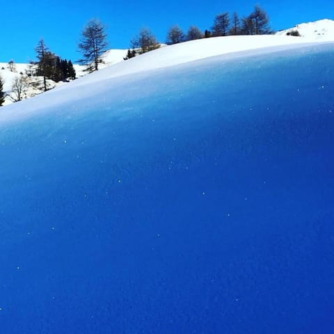 Max 's Siusi Apartament Apartment in Trentino-South Tyrol