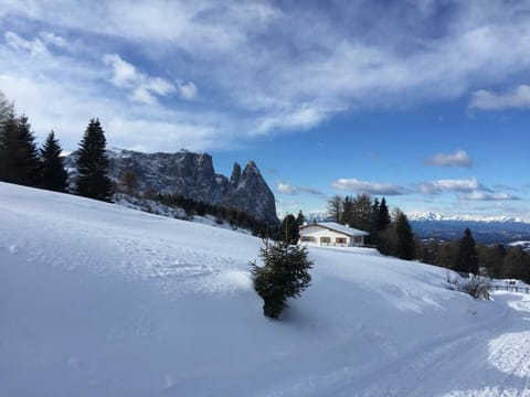 Max 's Siusi Apartament Apartment in Trentino-South Tyrol