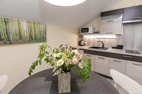 Kitchen or kitchenette, Dining area