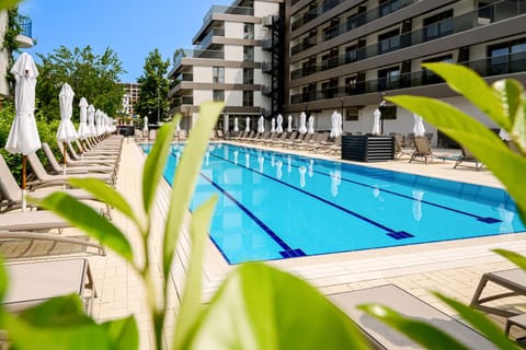 Swimming pool, Swimming pool
