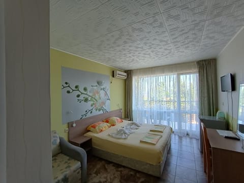 Bed, TV and multimedia, air conditioner