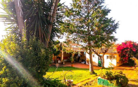 Property building, Garden, View (from property/room), Garden view