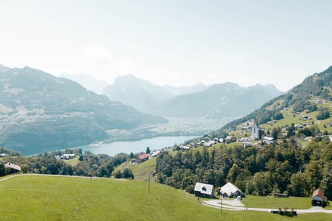 Natural landscape