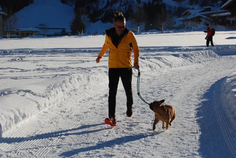 Haus Miksch Apartment in Tyrol