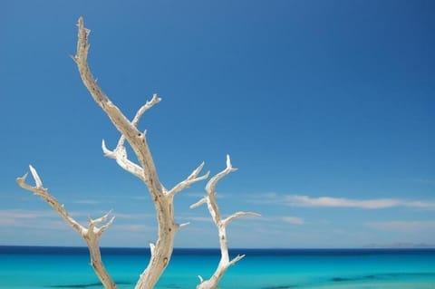 Alghero Attico Angela con grande veranda Apartment in Alghero