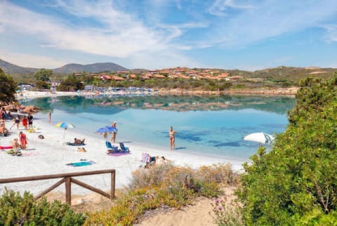 Natural landscape, Beach, Sea view, sunbed