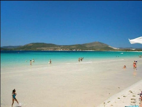 Cervi flat close to the sea and the historic centre of Alghero Apartment in Alghero