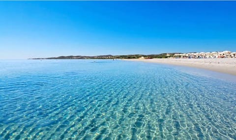 Cervi flat close to the sea and the historic centre of Alghero Apartment in Alghero