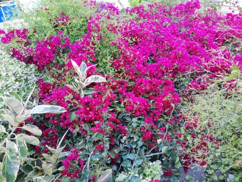 Au pied de la falaise rouge House in Leonidio