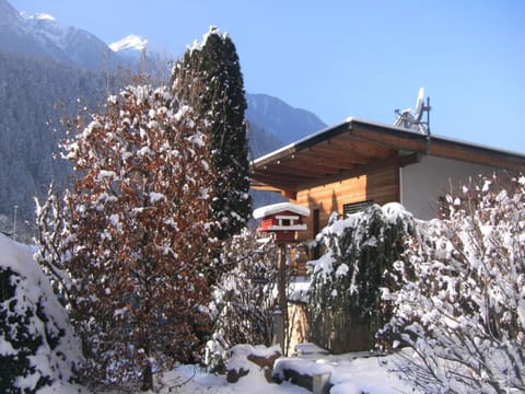 Winter, Other
