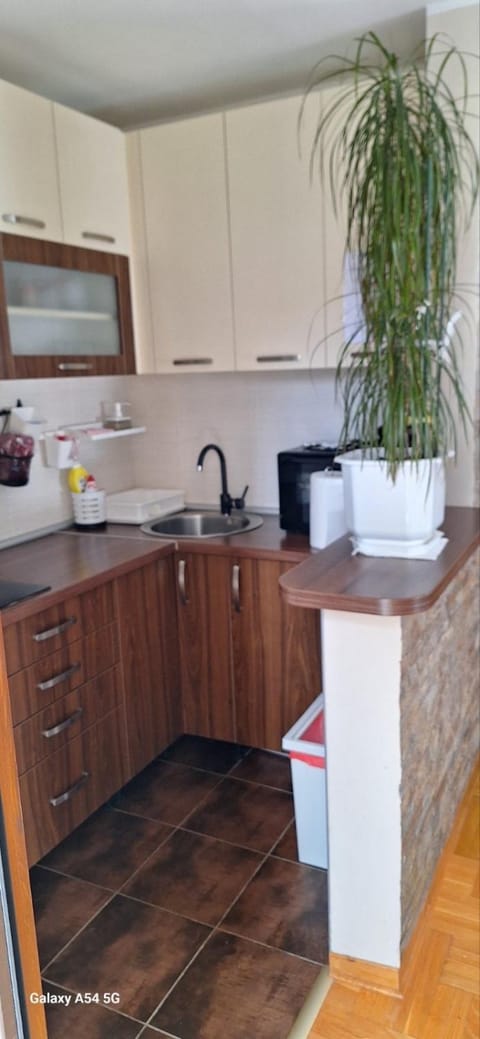 Zlatibor Apartman Pantic Apartment in Zlatibor