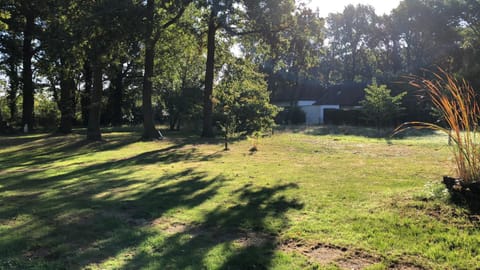 On site, Garden view