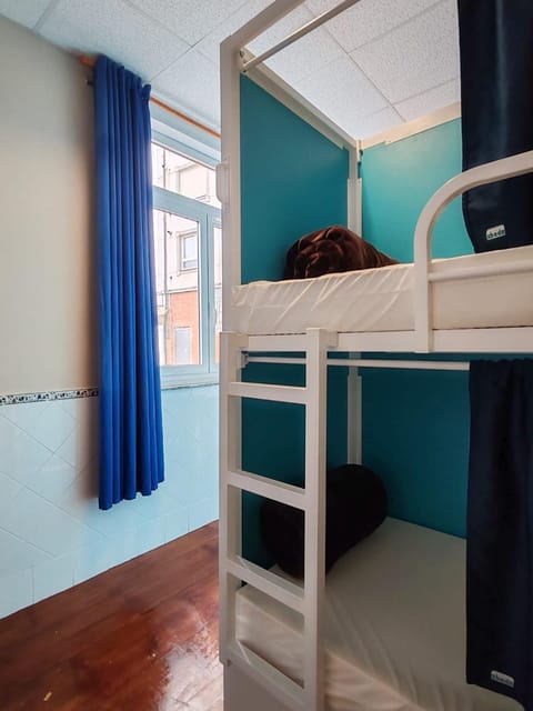 Bed, Photo of the whole room, Bedroom, bunk bed