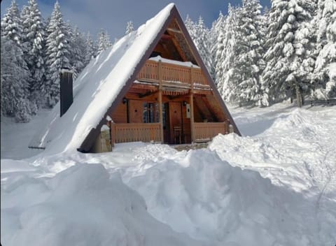 Vikendica Tarsko srce S House in Zlatibor District, Serbia