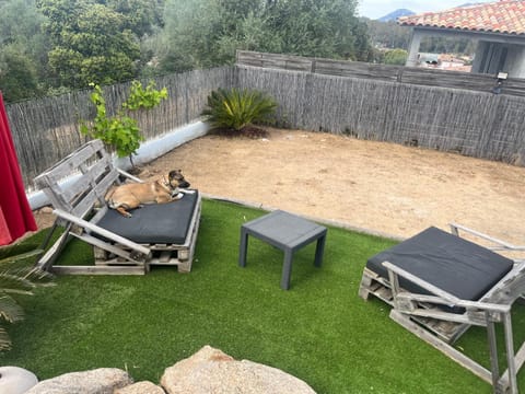 Villa Orethaga Piscine 10 pers porto Vecchio House in Porto-Vecchio