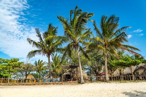 Natural landscape, Beach, Sea view