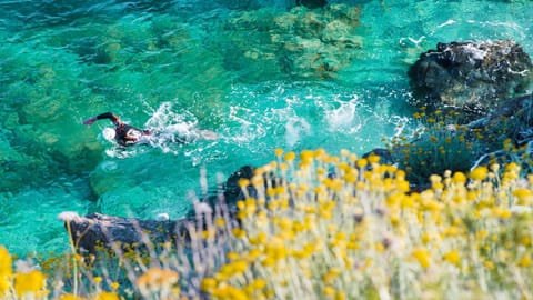 Natural landscape, Activities