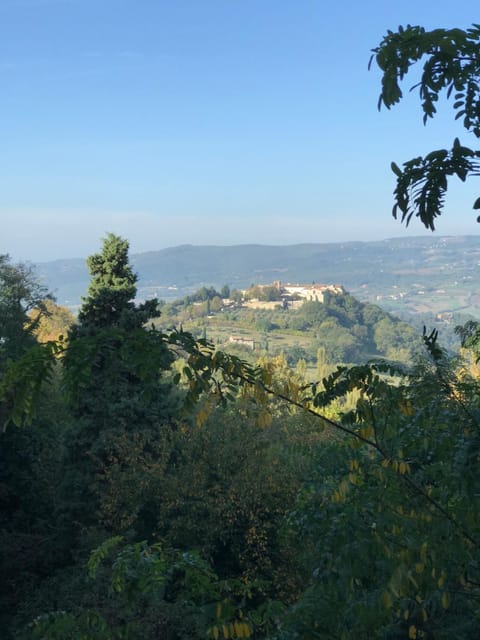 Landmark view