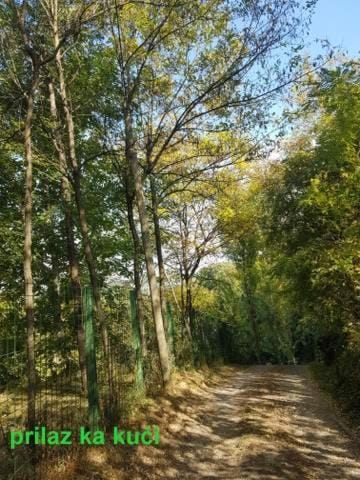 "Popov VRT" Banoštor - kuća-vikendica na Dunavu-Fruskoj Gori House in Novi Sad