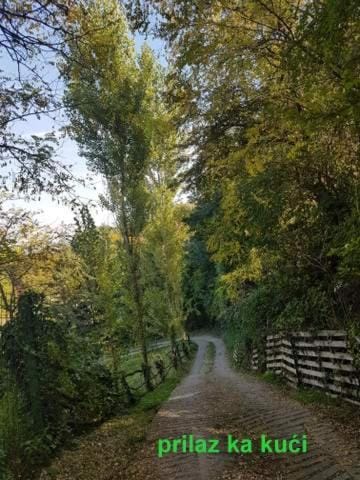 "Popov VRT" Banoštor - kuća-vikendica na Dunavu-Fruskoj Gori House in Novi Sad