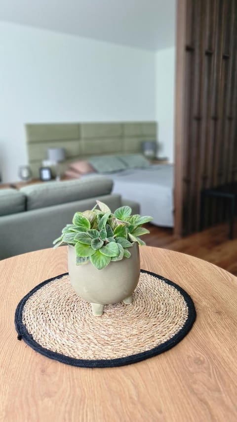 Mona Apartamentai Apartment in Lithuania