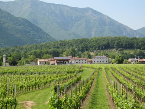 Natural landscape, Mountain view