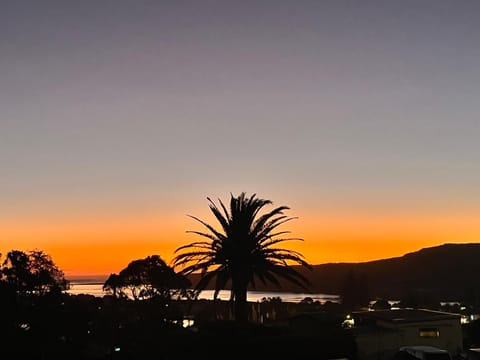 Long St Studio Apartment in Raglan