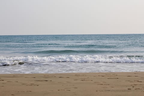 Natural landscape, Beach