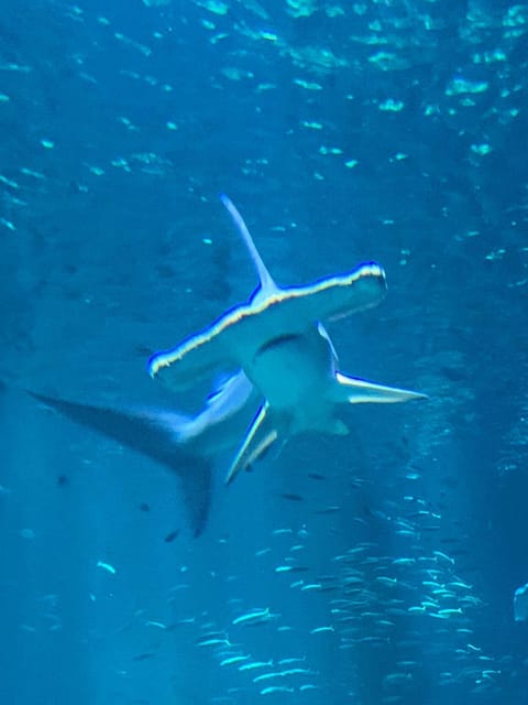 Appartement de 100m² bien situé Apartment in Hauts-de-France