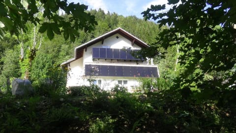 Property building, Summer