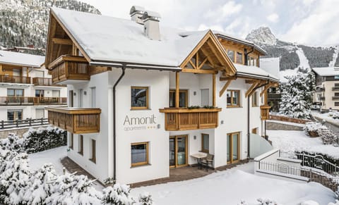 Amonit - Your Dolomites Home Apartment in Sëlva
