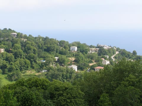 View (from property/room), View (from property/room), Balcony/Terrace